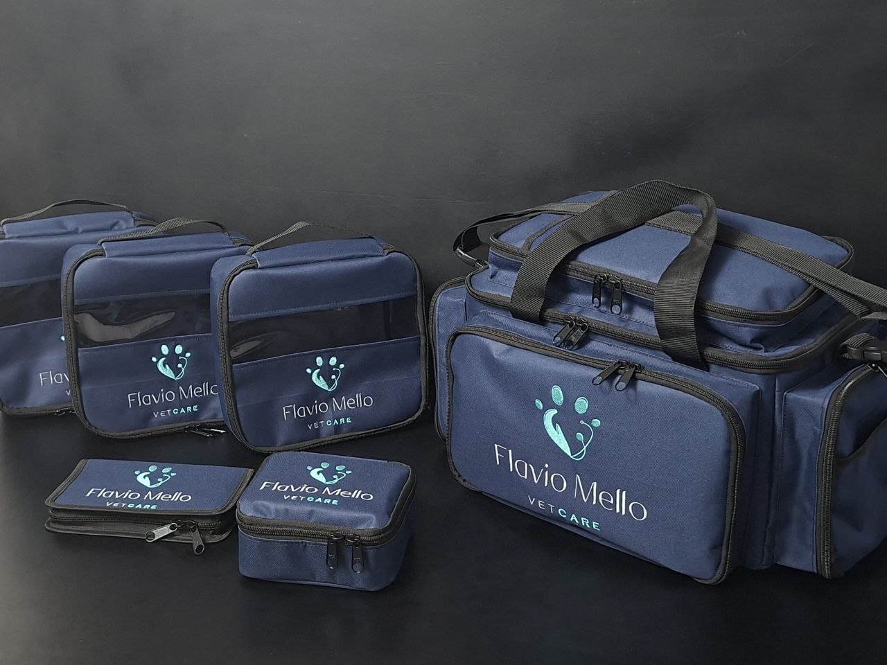 Bolsa Medicina Vet personalizada, 3 organizadores 1 porta ampola e 1 porta vacina todos personalizados.